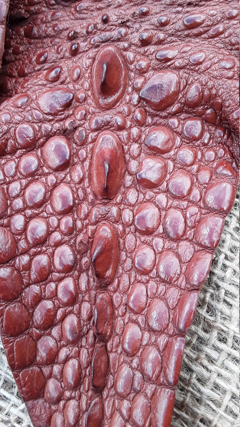 Snapping Turtle Leather two Chestnut Tails Med. Large Etsy