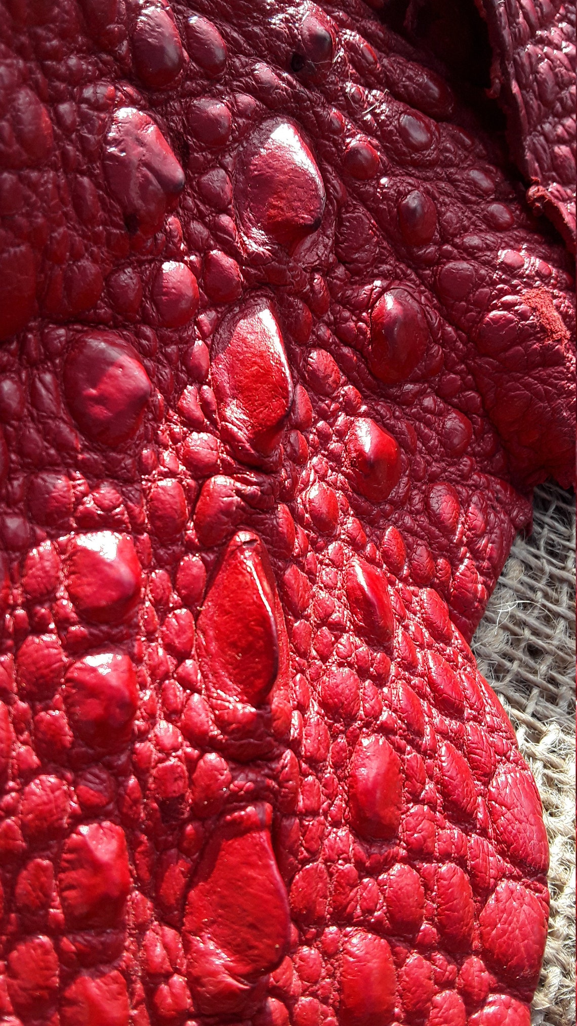 Snapping Turtle Leather two Red Tails Med. Lg. Etsy