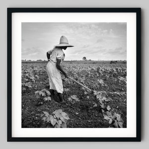 Frau arbeitet auf dem Bauernhof Feld in der Nähe von Eutaw, Alabama Schwarzweiss Fotografie Fine Art Print - Wand Dekor