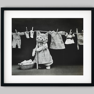 Haustier Kätzchen Katze trägt Kleidung hängt die Wäsche auf einer Wäscheleine schwarz und weiß Fotografie Fine Art Print - Wand-Dekor