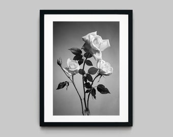 Flowers fine art floral print Black and White Photography Fine Art Print - Wall Decor