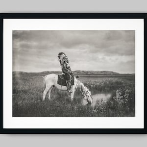 May include: A black and white photograph of a Native American man wearing a feathered headdress, riding a white horse. The horse is drinking from a small pond in a grassy field.