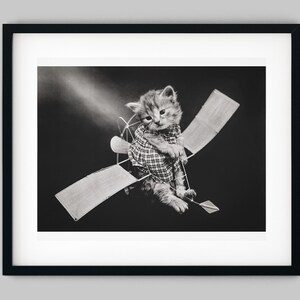 Haustier Kätzchen Katze fliegt durch die Luft auf einem Spielzeugflugzeug Schwarzweiss Fotografie Fine Art Print - Wand Dekor