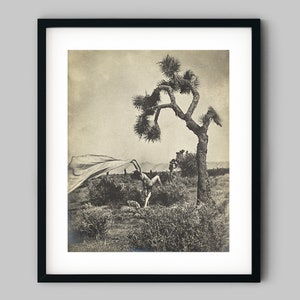 Frau tanzt im Wüstenwind mit langem Schal Schwarzweiss Fotografie Fine Art Print - Wand Dekor