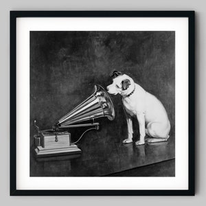 Pet puppy dog listens to the music from a record player phonograph speaker Black and White Photography Fine Art Print - Wall Decor