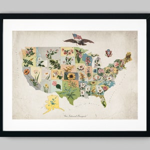 Blumen- und Pflanzenbouquet jedes amerikanischen Bundesstaates auf einer Karte Fine Art Print - Wanddeko
