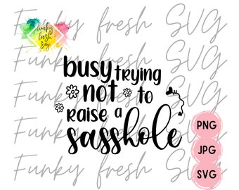 Busy Trying Not To Raise A Sasshole SVG/PNG/JPG | Free Commercial Use | Digital Cut File For Cricut/Silhouette