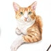 see more listings in the Watercolor Pet Portraits section