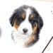 see more listings in the Watercolor Pet Portraits section