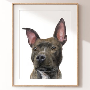 Pet portrait from photo, Dog watercolor portrait, Cat watercolor portrait, Pet illustration, Custom hand painting pet portrait, Pet portrait