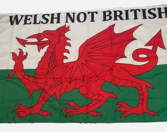 Może przedstawiać: Biała flaga z czerwonym smokiem i napisem "Welsh Not British" nadrukowanym czarnym kolorem. Smok jest zwrócony w prawo i ma zielone tło.