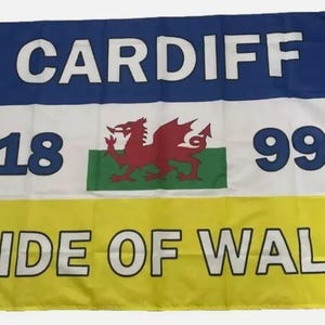 NEW* Cardiff City Flag 5ft by 3ft - Shirt Scarf Badge Poster Stickers