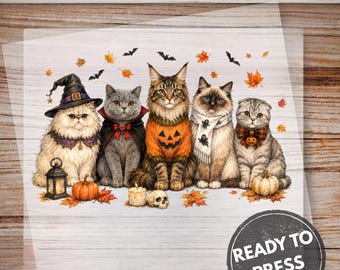 Halloween Cats DTF Transfer, Spooky Witch Kitty Print, Ready Press Fall Design