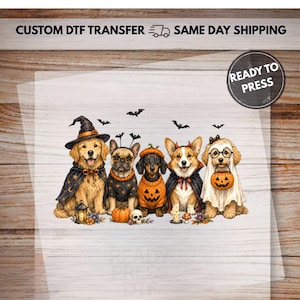 May include: A custom DTF transfer sheet featuring five dogs in Halloween costumes: a golden retriever as a wizard, a French bulldog, a dachshund in a pumpkin sweater, a corgi in a cape, and a poodle as a ghost holding a pumpkin bucket.
