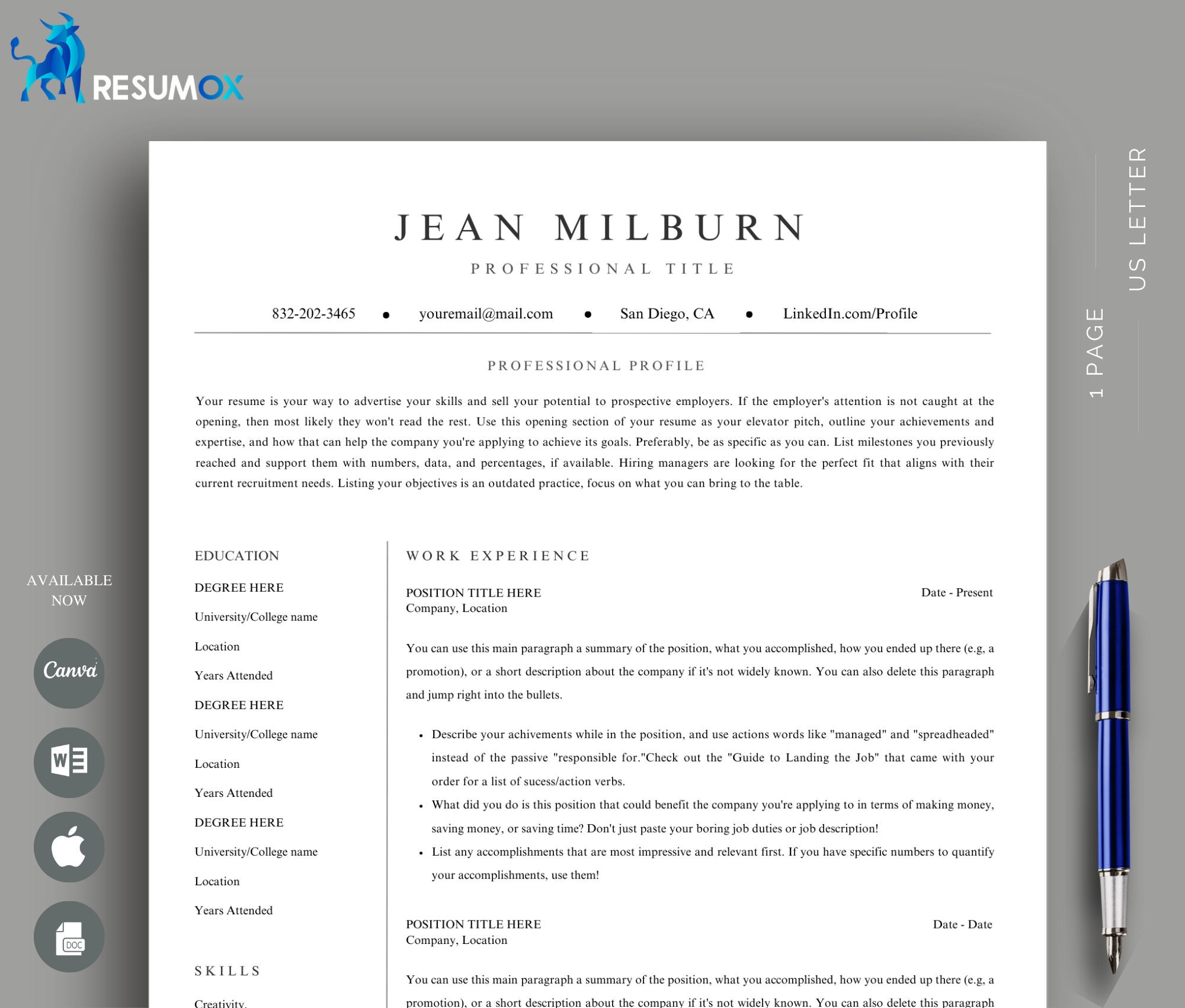 Modern Resume Template Google Docs & Word | Professional Executive ...