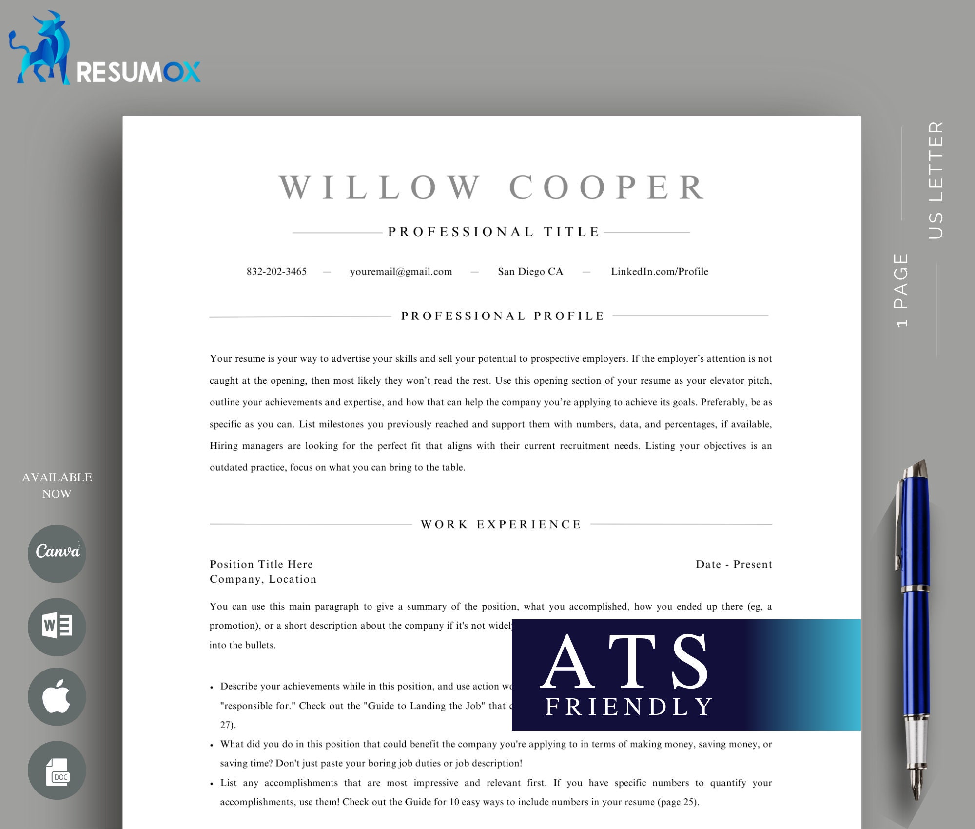 Modern Minimalist Resume | INSTANT DOWNLOAD | ATS Friendly Resume Template | Simple Editable Resume | Professional Resume | Executive Resume