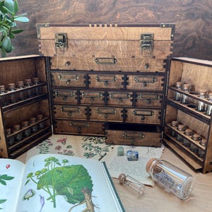 Gran botiquín con detalles grabados: estilo victoriano vintage, vitrina, botiquín de brujas