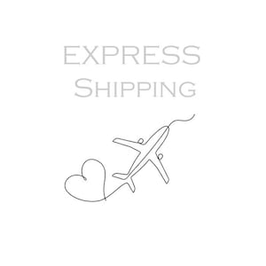 Fedex Express Versand