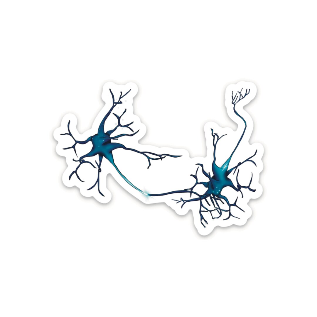 Neurology Sticker Neuron Sticker, Synapse Between Neurons, Neurology Gift, Neuroscience ...