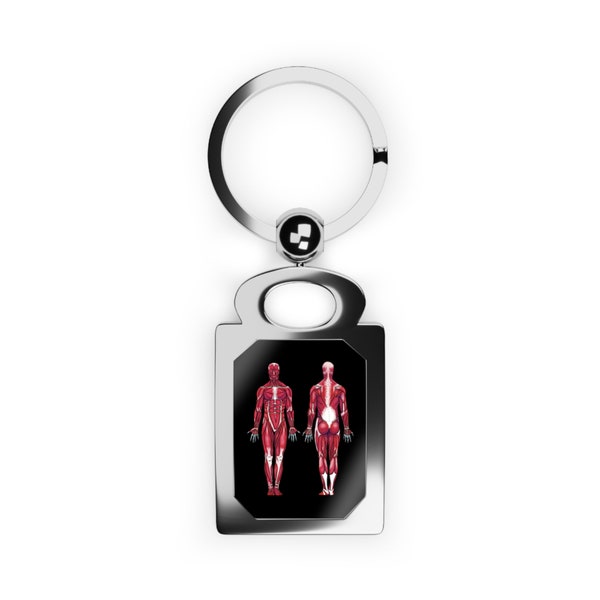 Muscular System Anatomy Keychain - Science Teacher Keychain, Med School Graduation Gift, Human Anatomy Doctor Gift, Nurse Gift, Science Gift