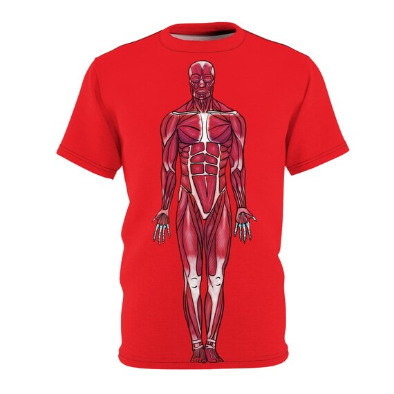 人体解剖学Tシャツ、筋肉系図プリント（前面と背面）、レッドユニ 