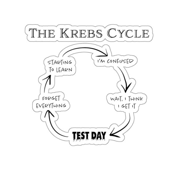 Krebs Cycle Joke Vinyl Sticker - Cell Biology, Citric Acid Cycle, Science, Humor, Biology Gift