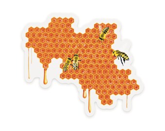 Honeybees Sticker, Honey Dripping from Honeycomb Clear Vinyl Decal, Bee Lover Gift