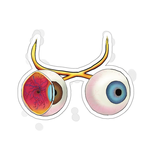 Ophthalmology Eyeball Sticker - Anatomy Teacher Gift, Laptop Sticker, Optometry Gift, Cool Neon Eyeball Sticker