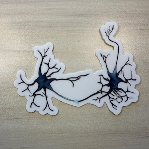 Neurology Sticker Neuron Sticker, Synapse Between Neurons, Neurology Gift, Neuroscience ...