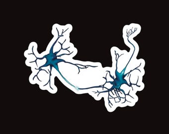 Neuron Magnet: Blue & White Neuroscience Car/Fridge Magnet