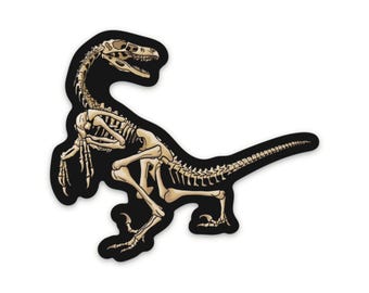 Dinosaur Velociraptor Skeleton Sticker, Black and Bone White, Dinosaur Fossil Vinyl Decal