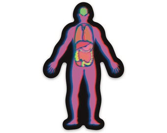 Human Anatomy Vinyl Sticker, Medical Illustration Decal