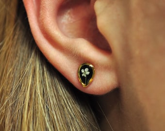 Small gold-plated stainless steel stud earrings, featuring real miniature wild carrot flowers