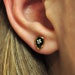 see more listings in the Puces d'oreilles section