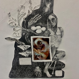 Graphite Drawing Print - “My Mother the Sparrowhawk” 4x6” or 8x10”