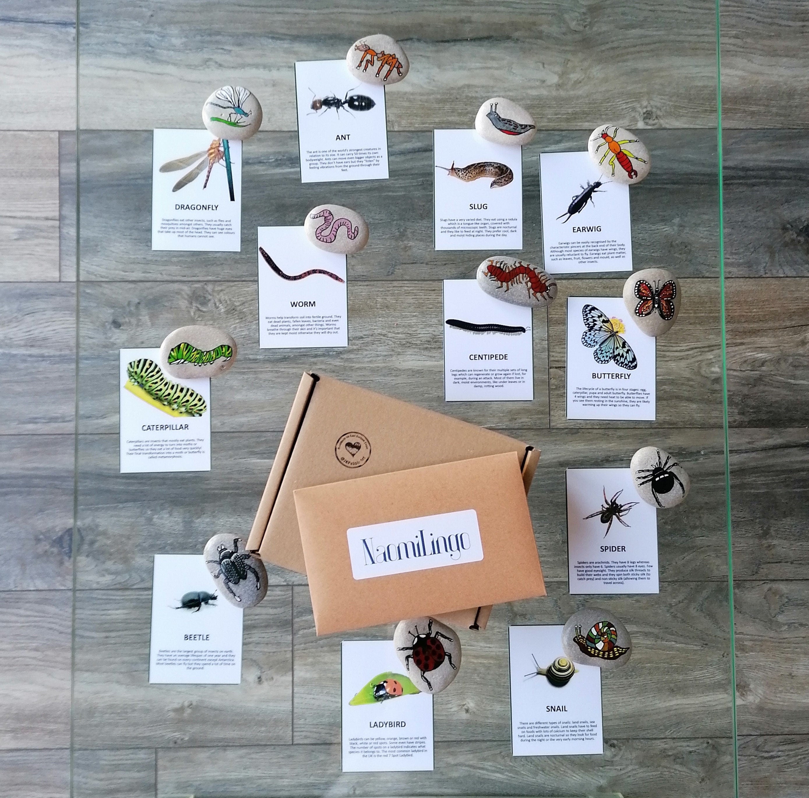 5 Common Plants That Earwigs Eat (And How To Stop Them) Pest Pointer