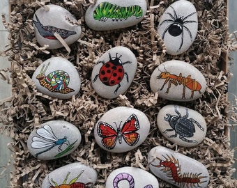 Minibeasts - Minibeast Story Stones - Bugs - Bug House - Bug Hotel - Nature - Insects - Mud Kitchen Accessories - Outdoor Play - Insects