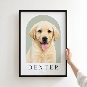 May include: A framed wall art print featuring a portrait of a light-colored Golden Labrador puppy centered within a sage green arch. The name DEXTER is printed in black capital letters below the dog, with Golden Labrador written underneath.
