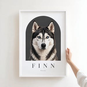 May include: A framed wall art print featuring a portrait of a black and white Siberian Husky with blue eyes centered within a dark gray arch. Below the dog, the name FINN is printed in black capital letters, followed by the word Husky below it.