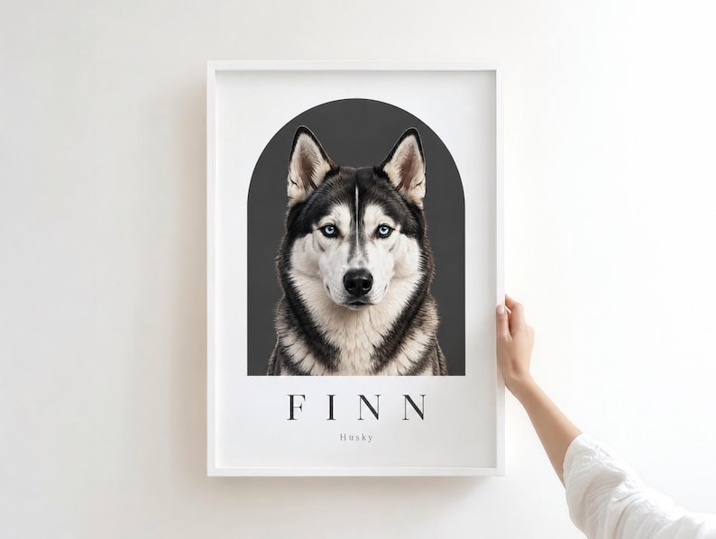 May include: A framed wall art print featuring a portrait of a black and white Siberian Husky with blue eyes centered within a dark gray arch. Below the dog, the name FINN is printed in black capital letters, followed by the word Husky below it.
