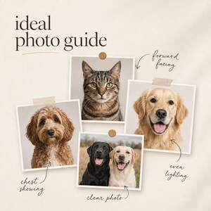 May include: An instructional graphic titled ideal photo guide featuring four square photographs of pets. The images show a tabby cat, a golden retriever, a curly-haired dog, and two Labrador retrievers, with handwritten text labels pointing to specific photo features.