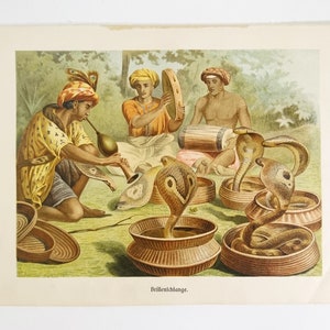 Op de afbeelding: Een vintage illustratie van een slangenbezweerder in India. De bezweerder speelt fluit terwijl drie cobra's in manden zitten. Twee andere mannen spelen trommels. De afbeelding is in het Duits getiteld "Brillenkobra".