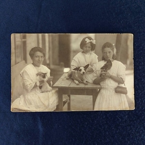 Alte Postkarte Mädchen mit Haustier, Katze, Hündchen, Taube RPPC Budapest 1915