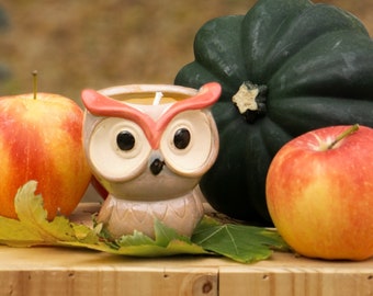 Pure 100% Beeswax Owl Container Candle - "Bard"