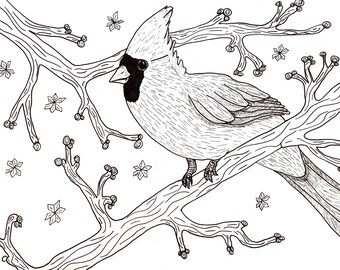 Cardinal Coloring | Etsy Ireland