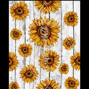 Girasol transparente PNG PDF valla de madera Fondo País occidental