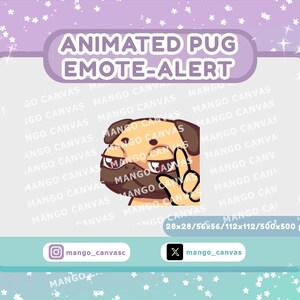 Pode incluir: Gráfico animado de alerta de emote de pug com um pug castanho claro fazendo o sinal de paz. O gráfico tem um fundo roxo e verde-azulado com o texto "ANIMATED PUG EMOTE-ALERT". O gráfico tem 500x500 px.