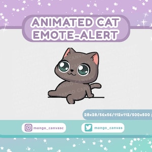Animated Gray Cat Emote Alert /Sit Emote-Alert