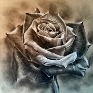 greyscale rose drawing and prints