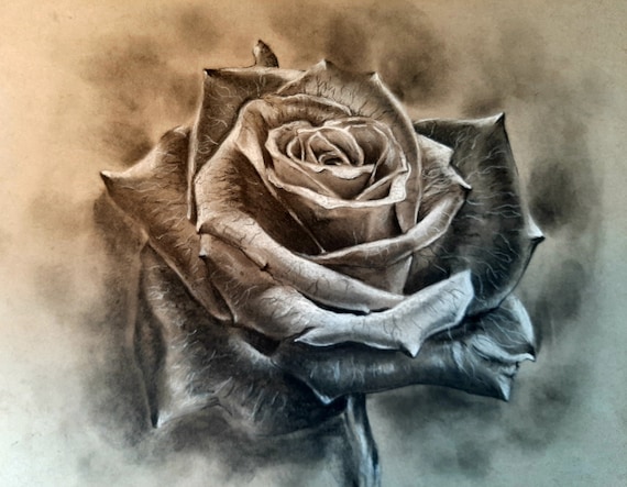 Greyscale Rose Drawing and Prints - Etsy